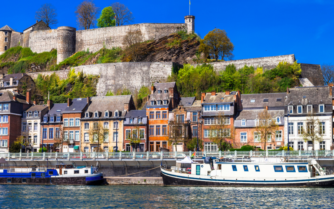 La ville de Namur avec les maisons, la Citadelle de Namur avec l'eau et les bateaux